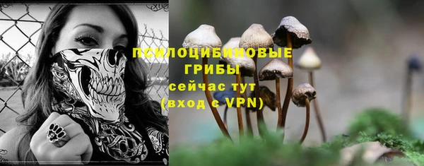 ПСИЛОЦИБИНОВЫЕ ГРИБЫ Алексин