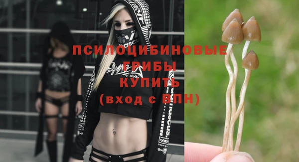 гидропоника Арсеньев