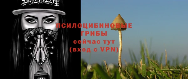 мескалин Белая Холуница