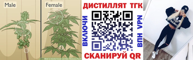 купить наркоту  Аткарск  Дистиллят ТГК жижа 