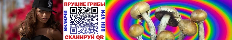 Галлюциногенные грибы прущие грибы Аткарск
